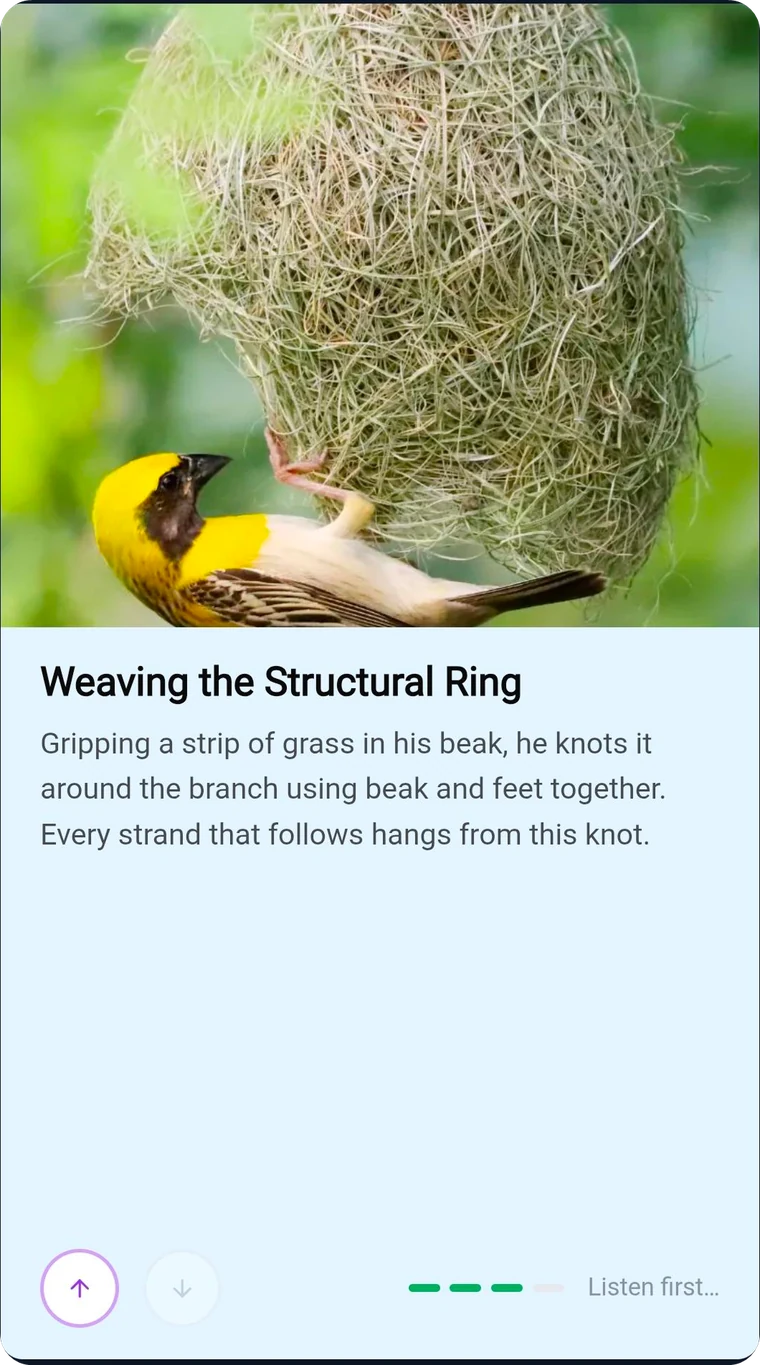 Sticky Scroll slide
