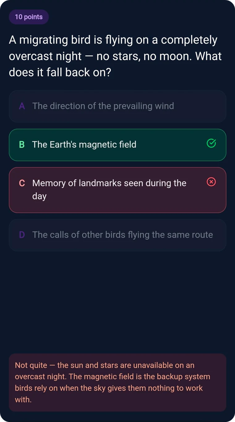 Quiz / MCQ slide