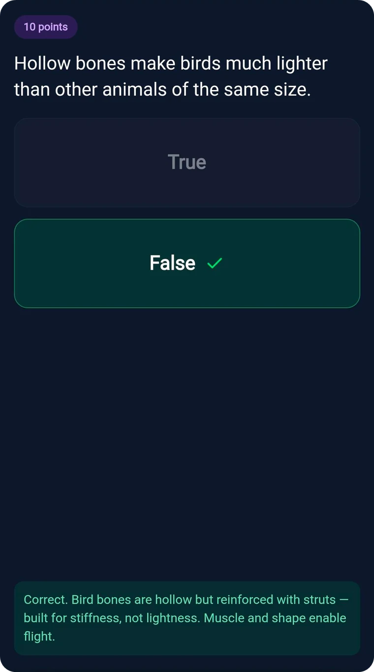 True / False slide