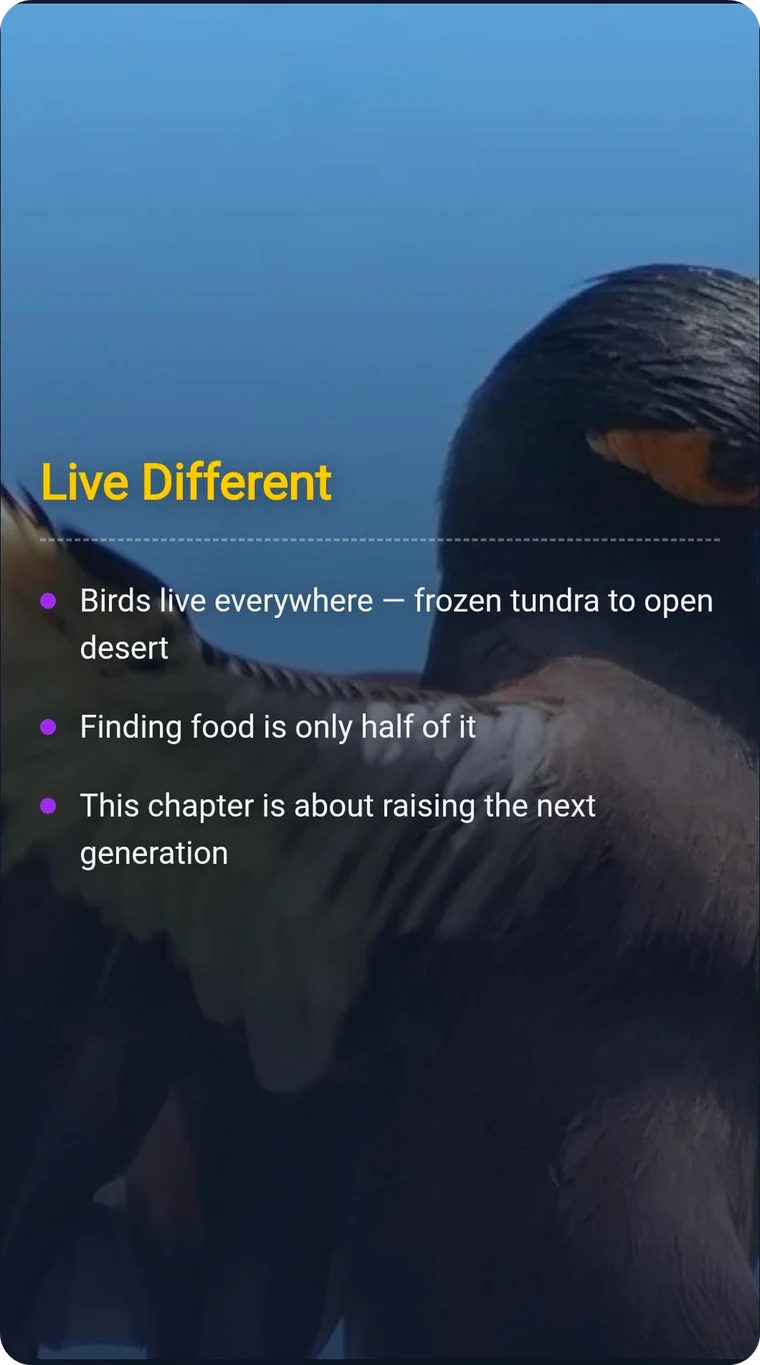Image Overlay slide